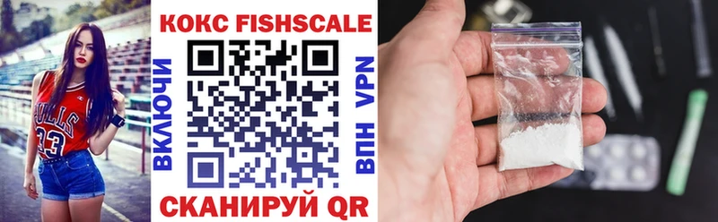 Купить где Чулым COCAIN Fish Scale