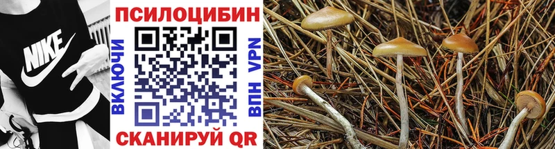 Псилоцибиновые грибы ЛСД  Купить  Чулым 