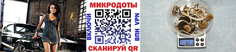Псилоцибиновые грибы прущие грибы Чулым