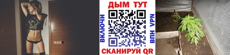 Купить  Чулым  Канабис THC 21% 
